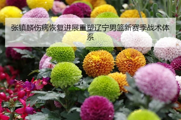 zhang-zhen-lin-shang-bing-hui-fu-jin-zhan-zhong-su-liao-ning-nan-lan-xin-sai-ji-zhan-shu-ti-xi-2-806.jpg