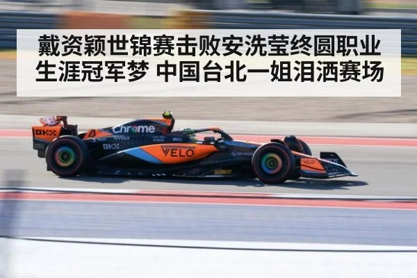 戴资颖世锦赛击败安洗莹终圆职业生涯冠军梦 中国台北一姐泪洒赛场